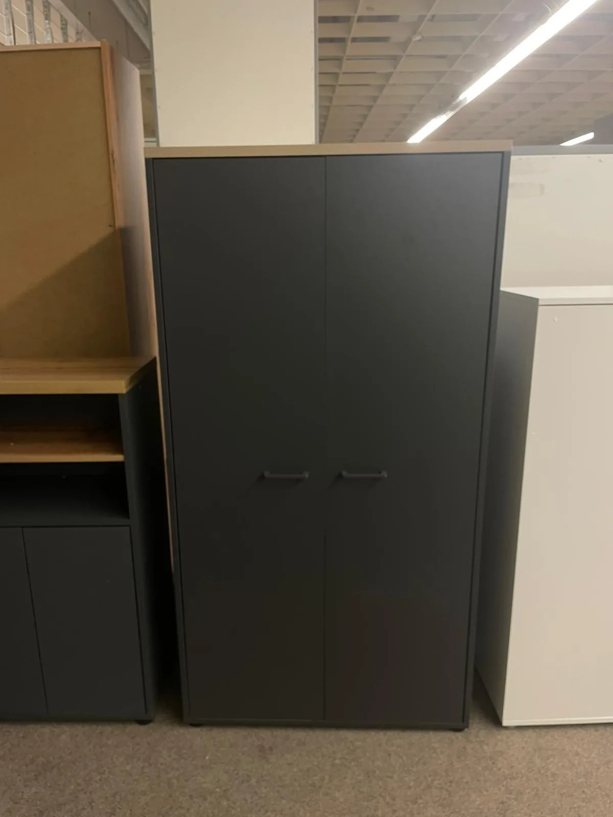 Stylischer Mehrzweckschrank mit 2 Türen